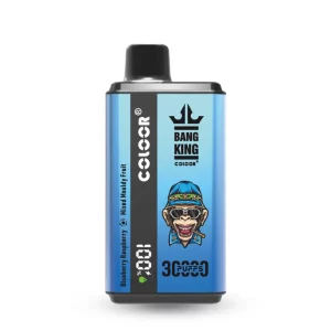 Bang電子タバコ/ベイプ（Bang Vape）-人気の使い捨てシーシャ フレーバー各種 Bang King 30000 Puffs