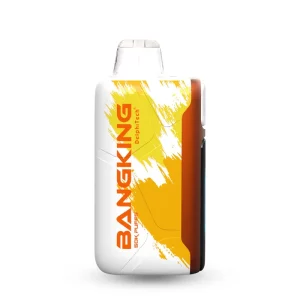 Bang電子タバコ/ベイプ（Bang Vape）-人気の使い捨てシーシャ フレーバー各種 Bang King Ice Cool 60000
