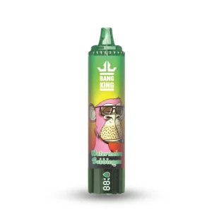 Bang電子タバコ/ベイプ（Bang Vape）-人気の持ち運びシーシャ フレーバー各種 Bang King 40000 Puffs