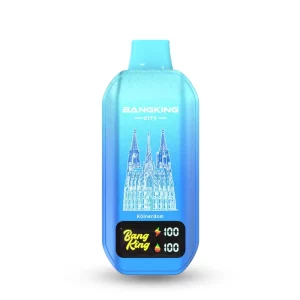 Bang電子タバコ/ベイプ（Bang Vape）-人気の持ち運びシーシャ フレーバー各種 Bang King City 50000 Puffs