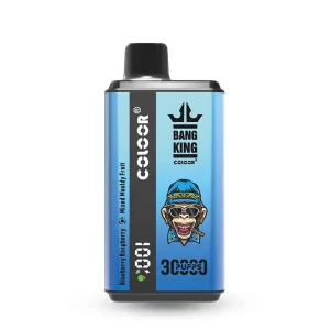 Bang電子タバコ/ベイプ（Bang Vape）-人気の使い捨て電子タバコ フレーバー各種 Bang King 50000 Puffs